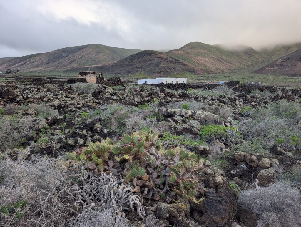 Lavafelder um Orzola