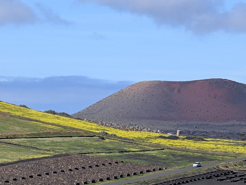 Blick Richtung Timanfaya Nationalpark