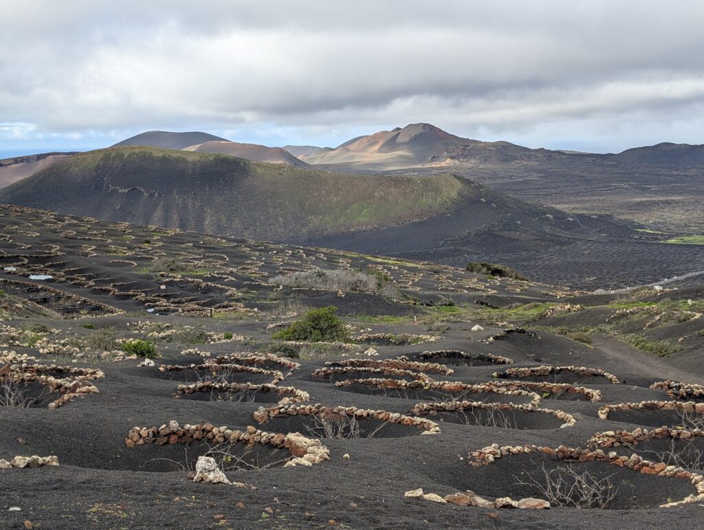 Vulkanischer Weinanbau auf Lanzarote