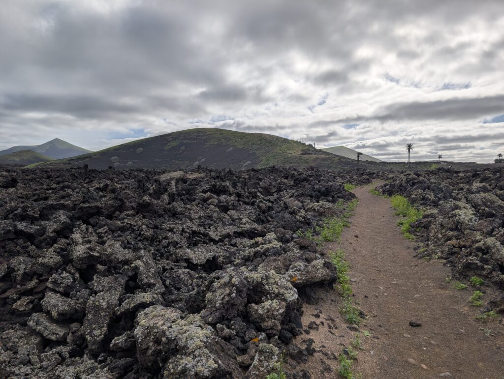 Lavafeld zwischen Uga und Yaiza