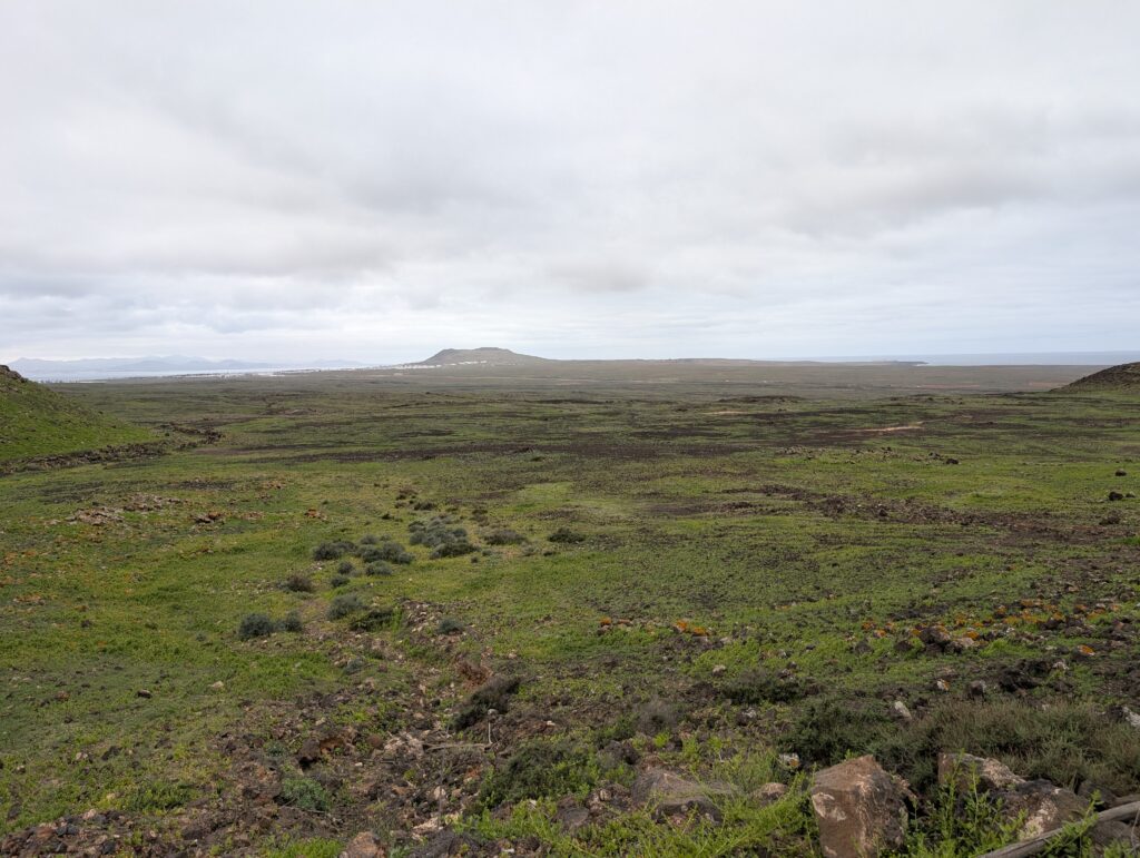 Das Meer rückt ins Blickfeld