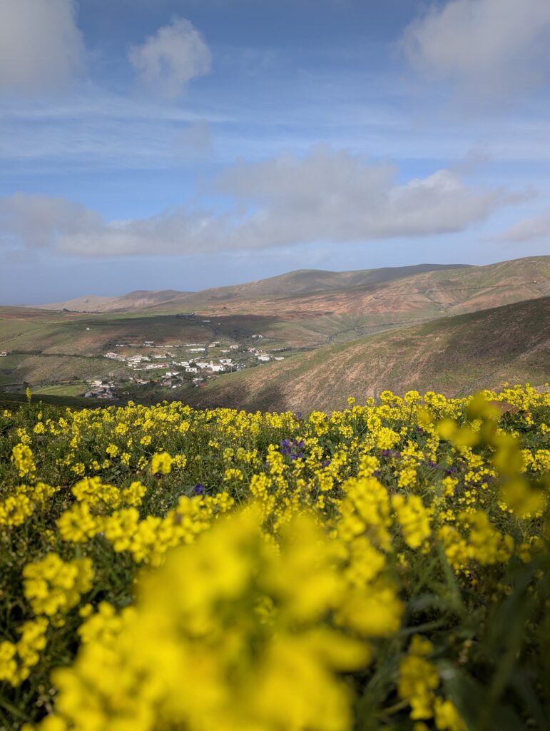 Höchster Punkt des GR 131 auf Fuerteventura