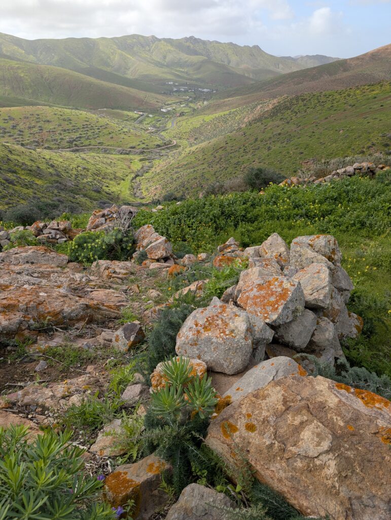 Abstieg nach Vega de Río Palmas
