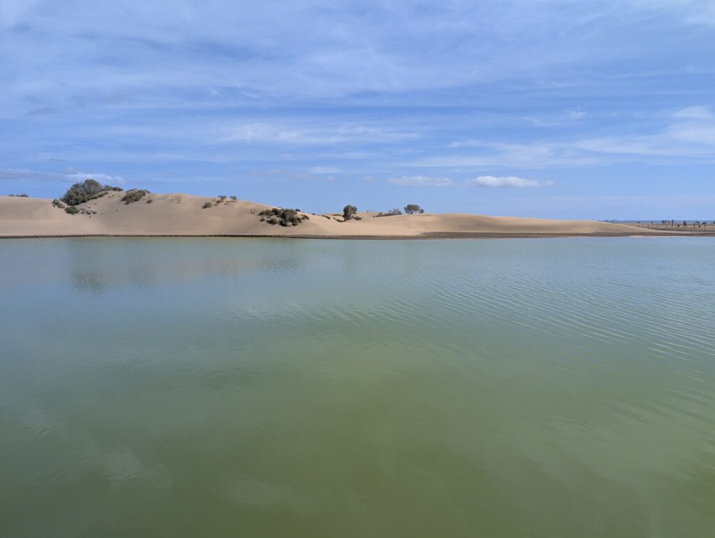 Dünen von Maspalomas