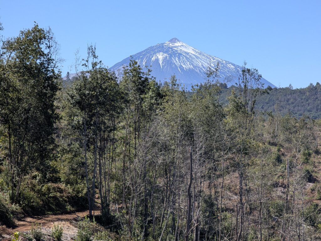 Blick auf den Teide