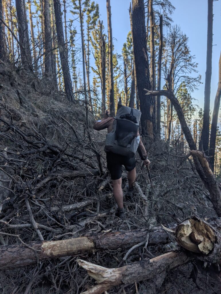 Blowdowns auf dem Trail