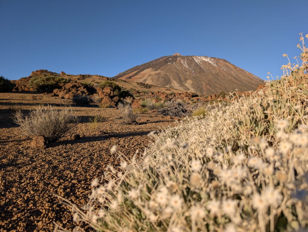 Teide am Morgen