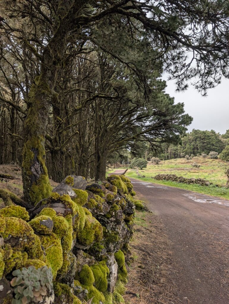 GR 131 nach Fuente de La Llanía