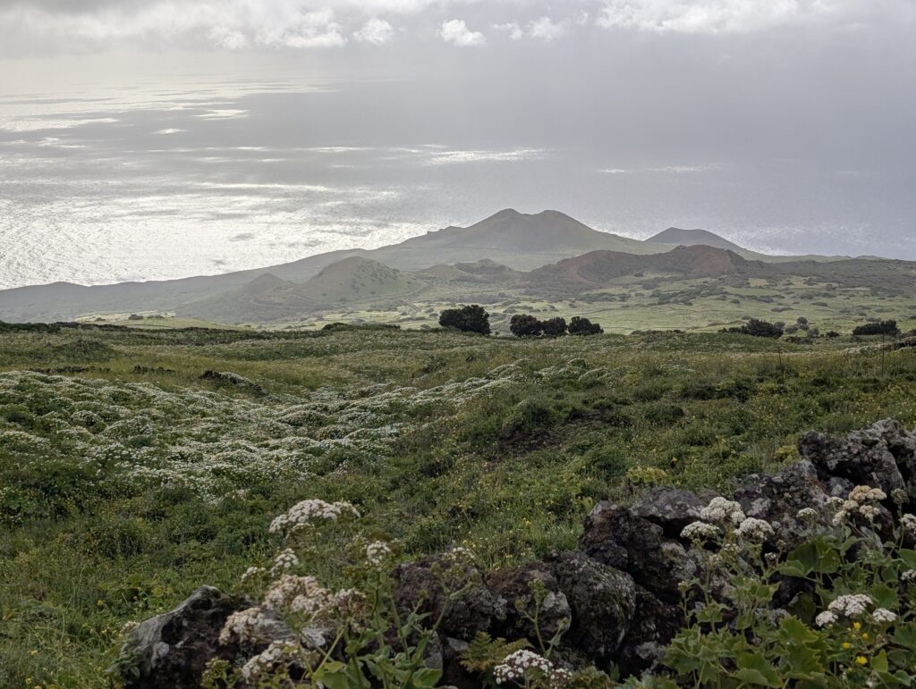 Endlich raus aus dem nasskalten Wetter