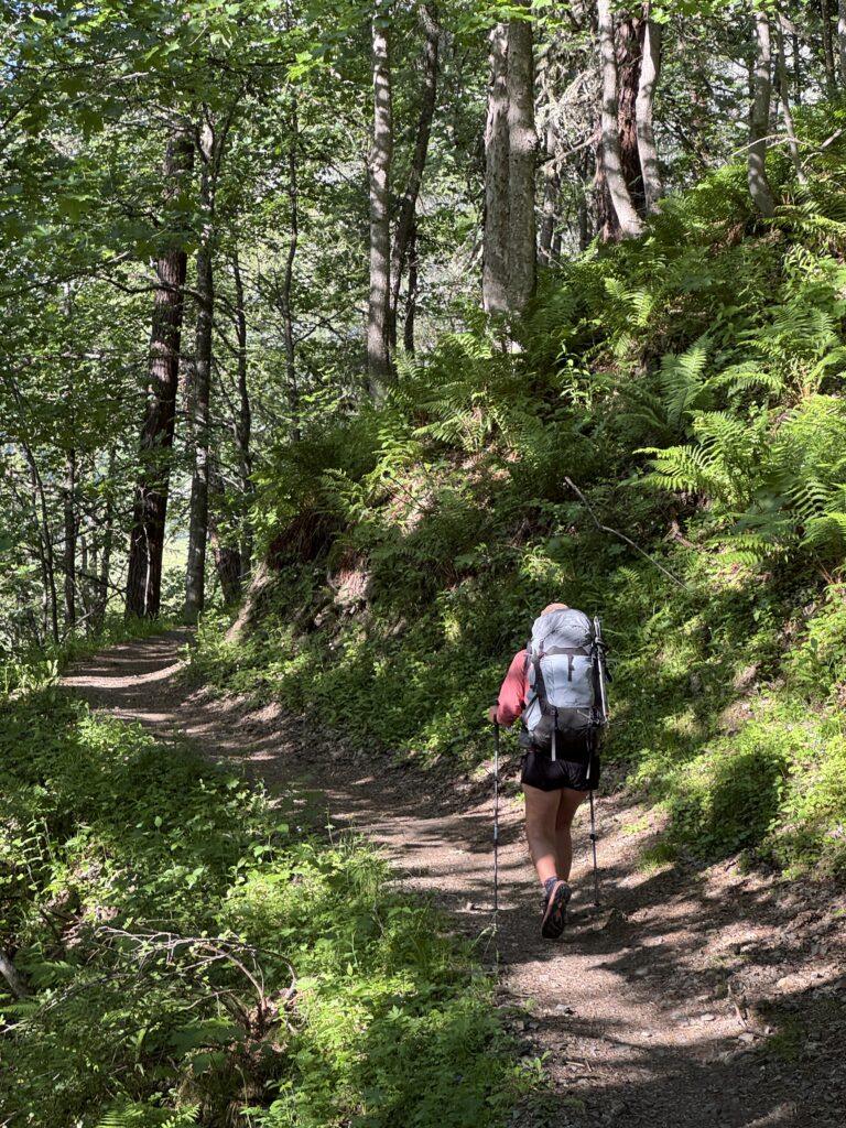 Waldaufstieg zwischen Argentière und Le Tour