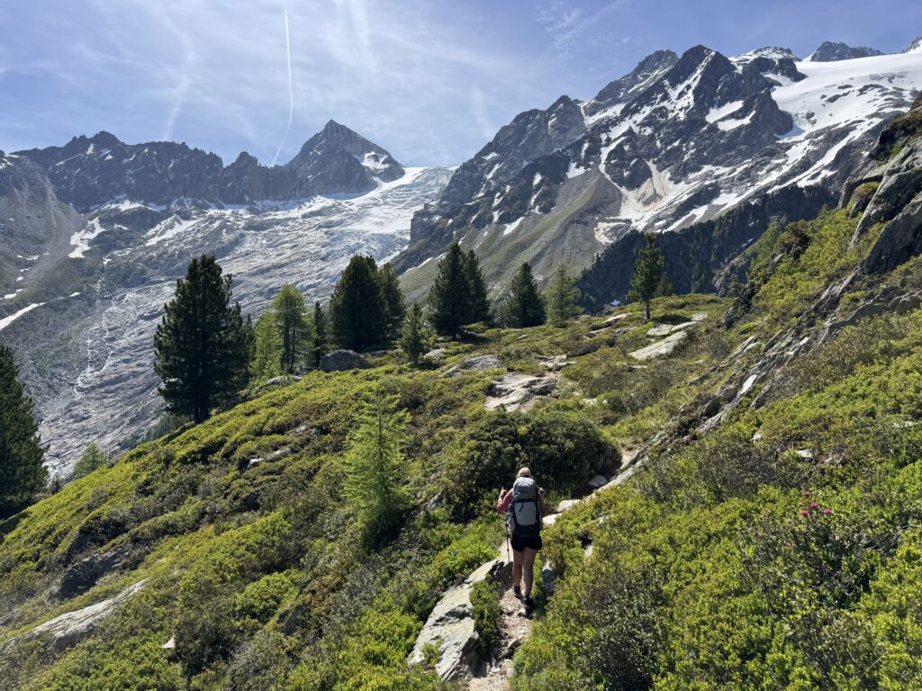 Blick auf den Glacier du Trient