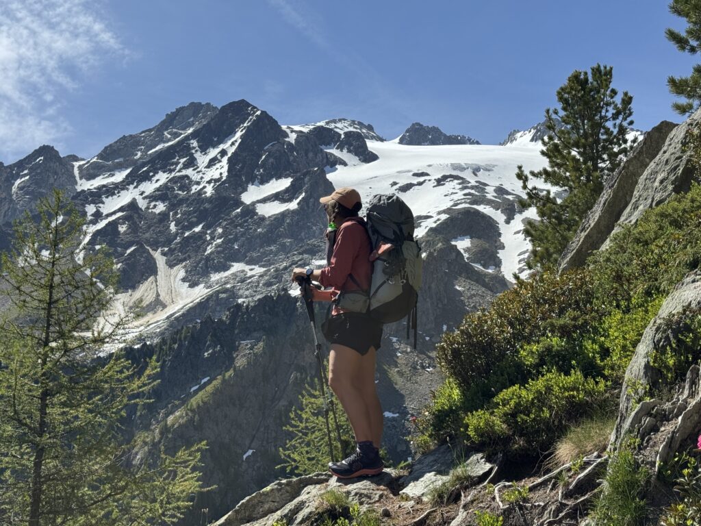 Blick auf den Glacier du Trient