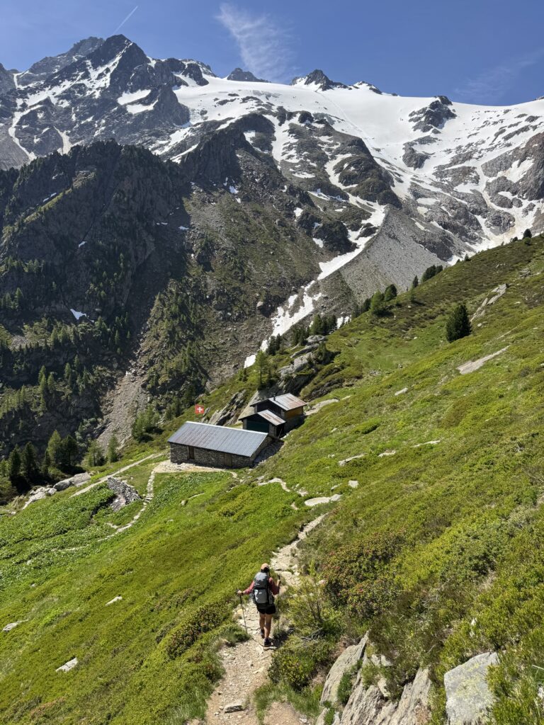 Blick auf den Glacier du Trient