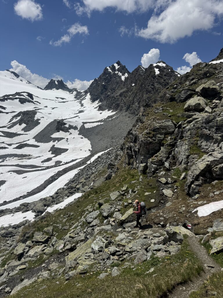 Abstieg zur Cabane de Prafleuri