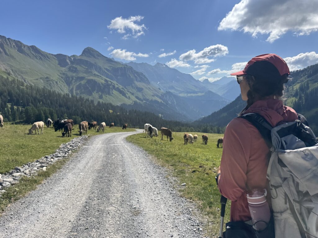 Aufstieg durch Almengebiet