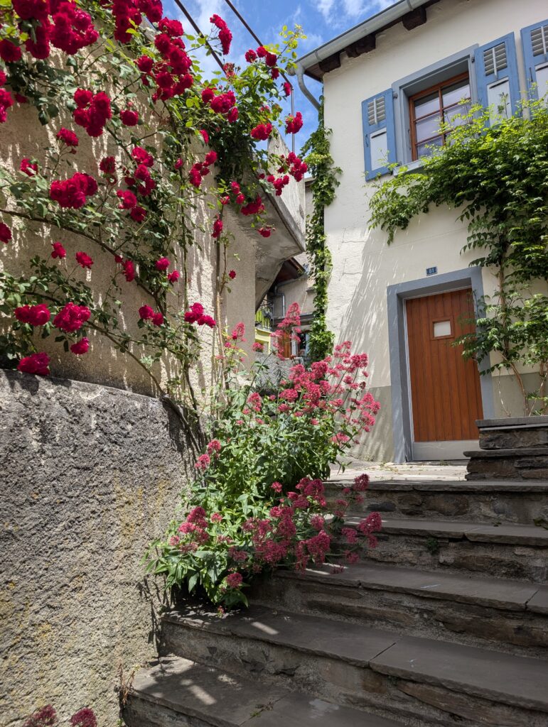 Aufstieg zum Mont Brûlé
