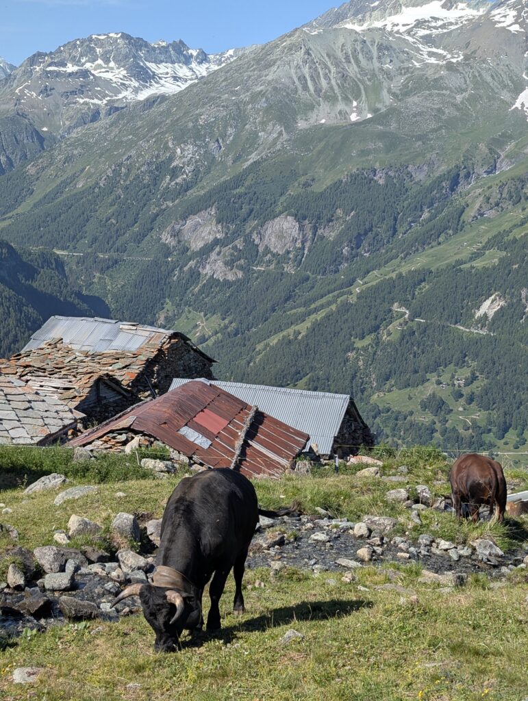 Aufstieg zum Col du Tsaté
