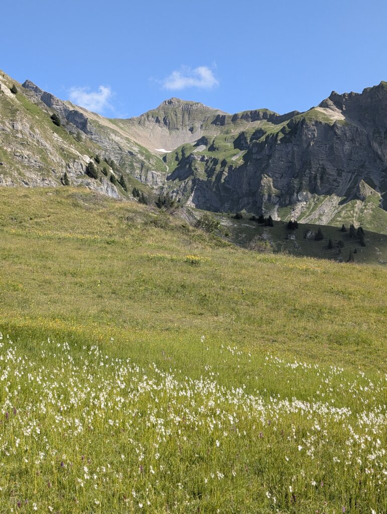Aufstieg zur Alpe Ijes