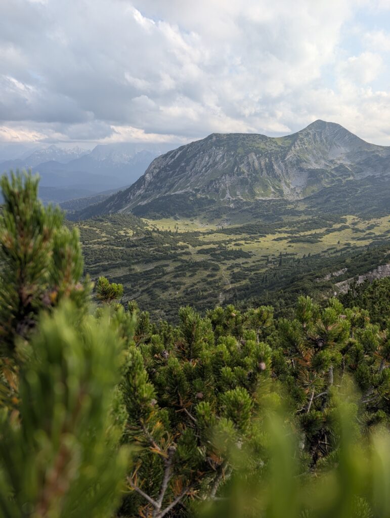 Blick von der Hohe Kisten auf das Michelfeld