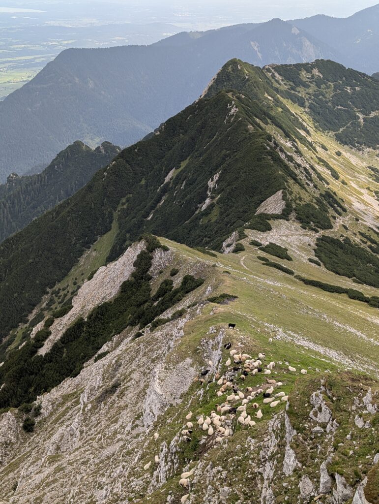 Blick vom Oberen Rißkopf
