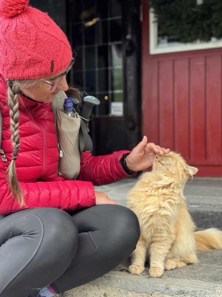 Katzekuscheln in Sota Sæter – so viel Zeit muss sein!