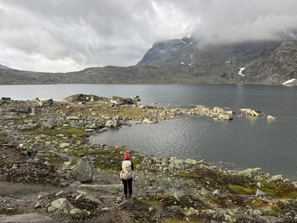 Morgens im Øvre Mjølkedalen
