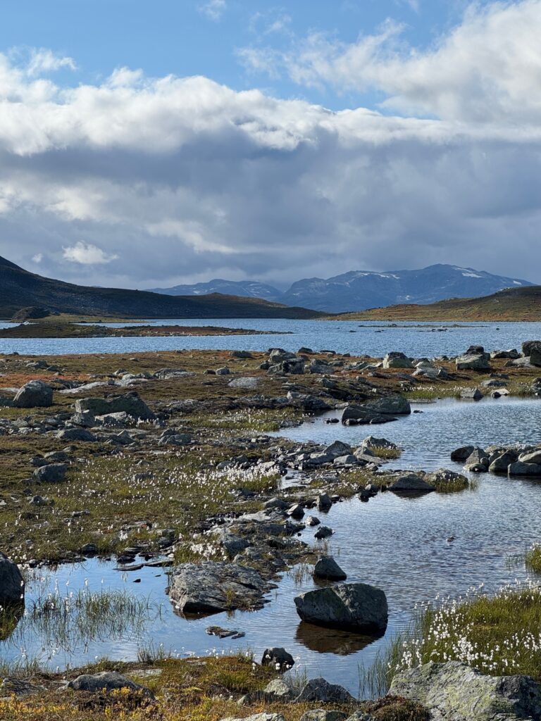 Blick auf den Sulevatnet
