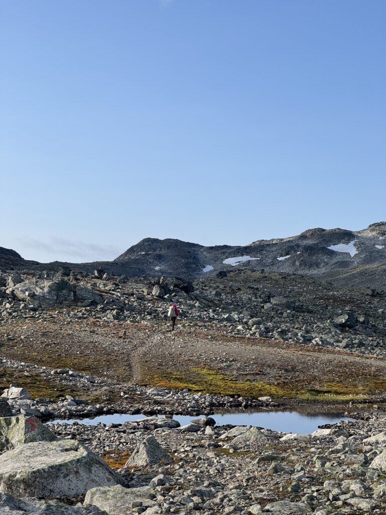 Morgens auf dem Massiv Trail in Skarvheimen