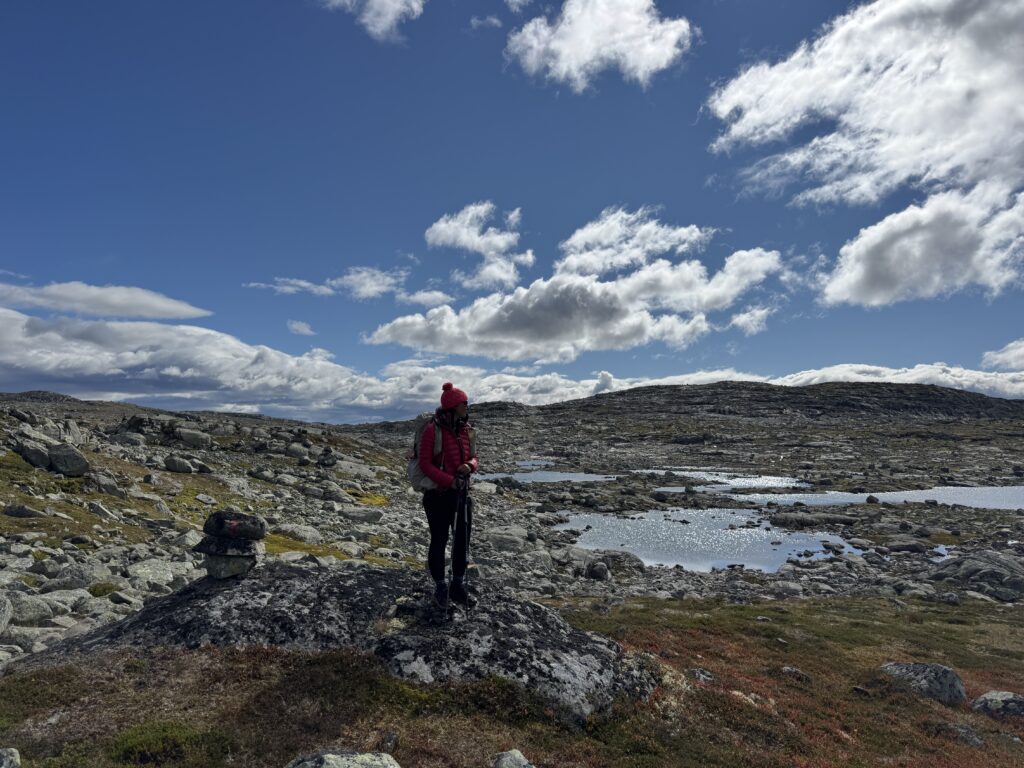 Seenlandschaft der Hardangervidda