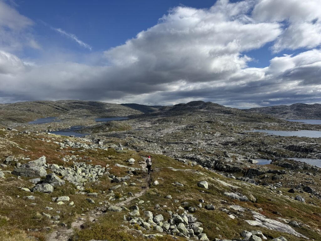 Seenlandschaft der Hardangervidda