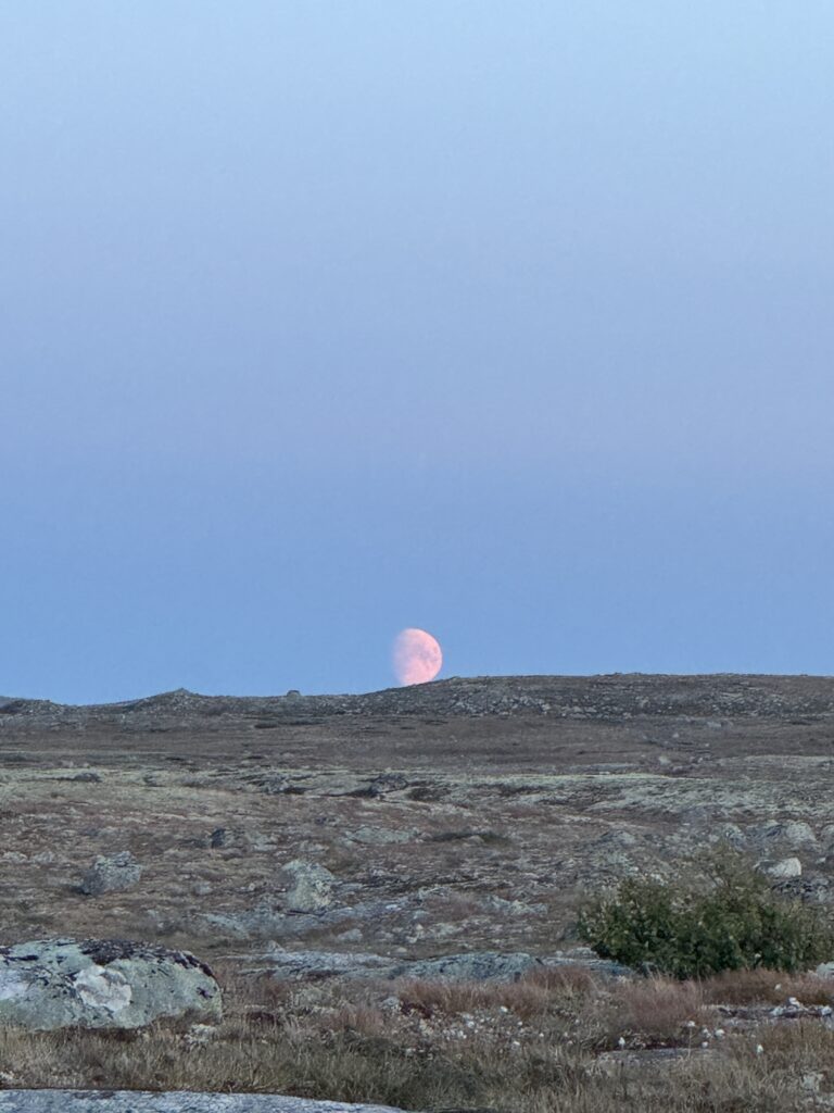 Mondaufgang in der Hardangervidda
