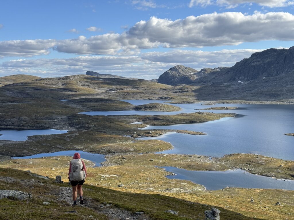 Blick auf den Holmasjøen