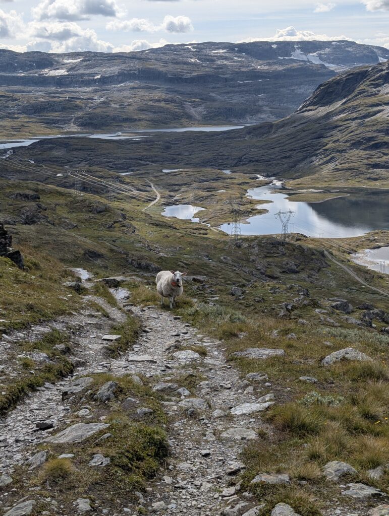 Abstieg ins Rossdalen Tal