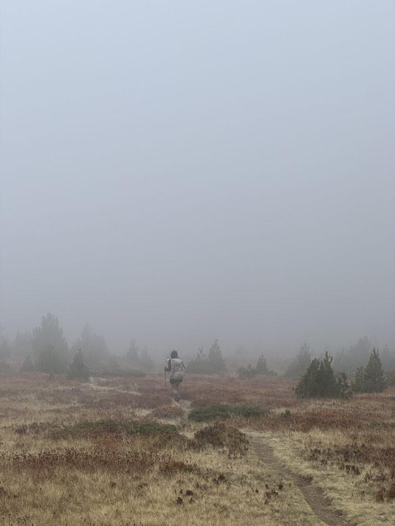 Abstieg nach Babino Polje