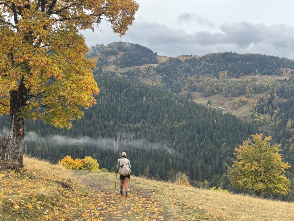 Herbstfarben auf dem Peaks of the Balkans