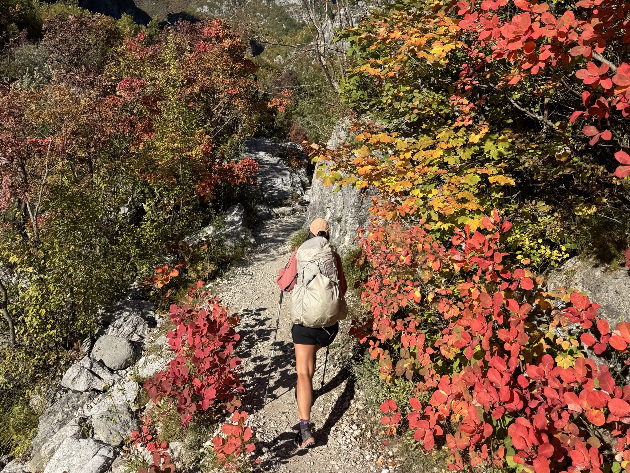 Herbstfarben am Fluss